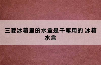 三菱冰箱里的水盒是干嘛用的 冰箱水盒